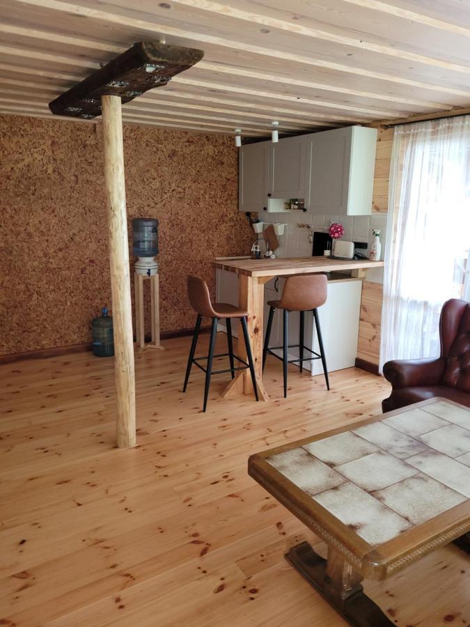 Zarini Villa Krāslava Exteriör bild