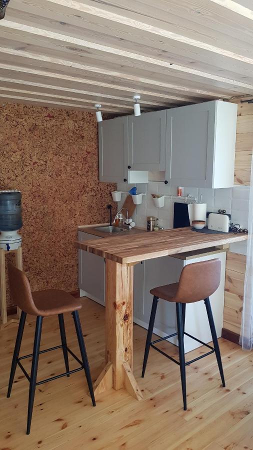 Zarini Villa Krāslava Exteriör bild